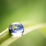 Environmental studies