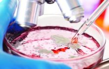 Laboratory research and life sciences